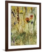 Daisy Day-Jodi Maas-Framed Giclee Print