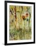 Daisy Day-Jodi Maas-Framed Giclee Print