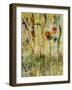 Daisy Day-Jodi Maas-Framed Giclee Print