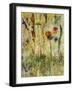 Daisy Day-Jodi Maas-Framed Giclee Print