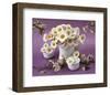 Daisy Delight II-null-Framed Premium Giclee Print