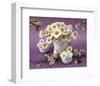 Daisy Delight II-null-Framed Premium Giclee Print