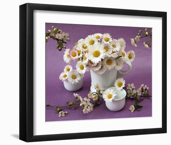 Daisy Delight II-null-Framed Art Print