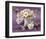 Daisy Delight II-null-Framed Art Print