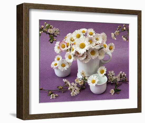 Daisy Delight II-null-Framed Art Print