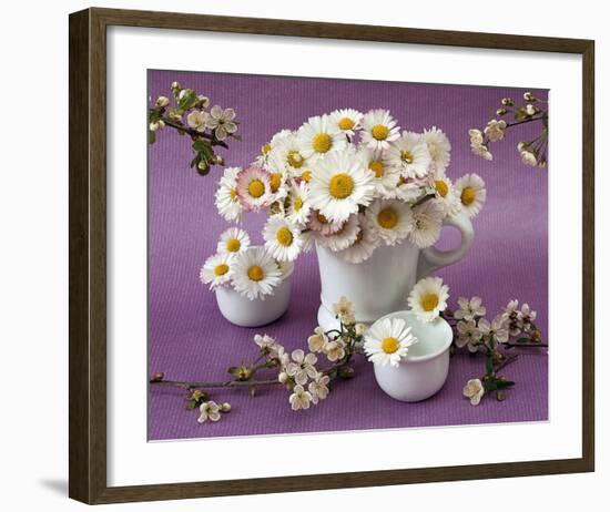 Daisy Delight II-null-Framed Art Print