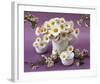 Daisy Delight II-null-Framed Art Print