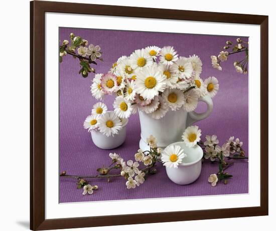 Daisy Delight II-null-Framed Art Print