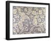 Daisy Design-William Morris-Framed Giclee Print