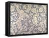 Daisy Design-William Morris-Framed Stretched Canvas