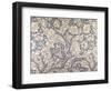 Daisy Design-William Morris-Framed Giclee Print