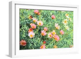 Daisy Field I-Emily Navas-Framed Art Print