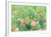 Daisy Field II-Emily Navas-Framed Art Print