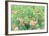 Daisy Field II-Emily Navas-Framed Art Print