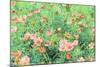 Daisy Field II-Emily Navas-Mounted Art Print