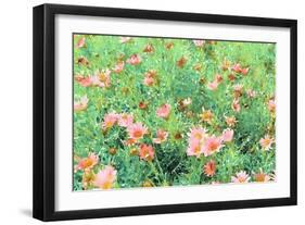 Daisy Field II-Emily Navas-Framed Art Print