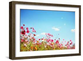 Daisy Flower against Blue Sky,Shallow Dof.-Liang Zhang-Framed Photographic Print