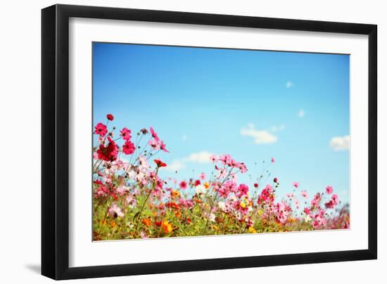 Daisy Flower against Blue Sky,Shallow Dof.-Liang Zhang-Framed Photographic Print