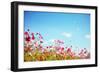 Daisy Flower against Blue Sky,Shallow Dof.-Liang Zhang-Framed Photographic Print