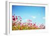 Daisy Flower against Blue Sky,Shallow Dof.-Liang Zhang-Framed Photographic Print