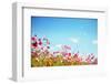 Daisy Flower against Blue Sky,Shallow Dof.-Liang Zhang-Framed Photographic Print