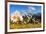 Daisy flower meadows in Stelvio National Park in summer. Sondrio district, Stelvio National Park, L-ClickAlps-Framed Photographic Print