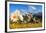 Daisy flower meadows in Stelvio National Park in summer. Sondrio district, Stelvio National Park, L-ClickAlps-Framed Photographic Print