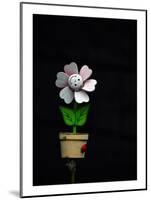 Daisy Flower Pot-Stephen Lebovits-Mounted Giclee Print