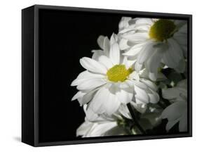 Daisy Flower-null-Framed Stretched Canvas