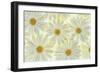 Daisy Flowers-Cora Niele-Framed Premium Photographic Print