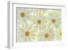 Daisy Flowers-Cora Niele-Framed Photographic Print