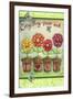 Daisy Garden Love-Melinda Hipsher-Framed Giclee Print