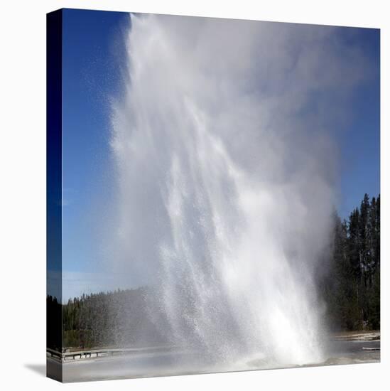 Daisy Geyser Erupting, Upper Geyser Basin Geothermal Area, Yellowstone National Park-Stocktrek Images-Stretched Canvas