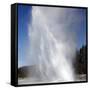 Daisy Geyser Erupting, Upper Geyser Basin Geothermal Area, Yellowstone National Park-Stocktrek Images-Framed Stretched Canvas