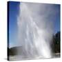 Daisy Geyser Erupting, Upper Geyser Basin Geothermal Area, Yellowstone National Park-Stocktrek Images-Stretched Canvas