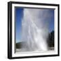 Daisy Geyser Erupting, Upper Geyser Basin Geothermal Area, Yellowstone National Park-Stocktrek Images-Framed Photographic Print