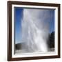 Daisy Geyser Erupting, Upper Geyser Basin Geothermal Area, Yellowstone National Park-Stocktrek Images-Framed Photographic Print