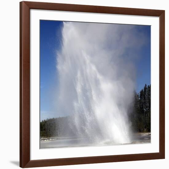 Daisy Geyser Erupting, Upper Geyser Basin Geothermal Area, Yellowstone National Park-Stocktrek Images-Framed Photographic Print