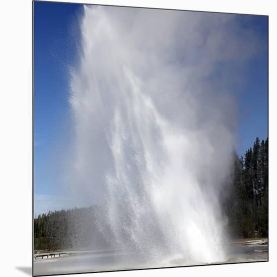 Daisy Geyser Erupting, Upper Geyser Basin Geothermal Area, Yellowstone National Park-Stocktrek Images-Mounted Photographic Print