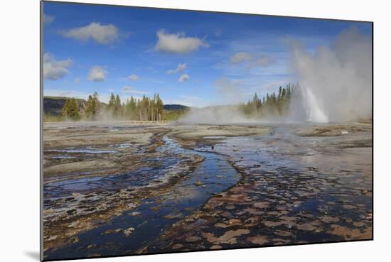 Daisy Geyser, One of the Most Predictable, Erupts at an Angle-Eleanor Scriven-Mounted Photographic Print