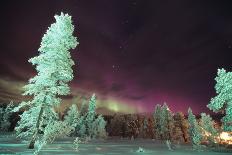 Kakslauttanen, Lapland, Finland-Daisy Gilardini-Photographic Print