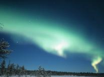 The Aurora Borealis, Lapland, Finland-Daisy Gilardini-Photographic Print