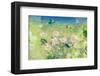 Daisy green-Claire Westwood-Framed Art Print