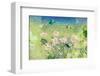 Daisy green-Claire Westwood-Framed Art Print