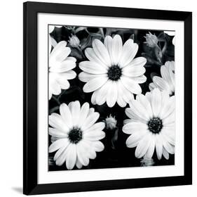 Daisy Light II-Joseph Eta-Framed Giclee Print