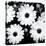 Daisy Light II-Joseph Eta-Stretched Canvas