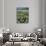 Daisy meadow, Loudoun County, Virginia, USA-Charles Gurche-Photographic Print displayed on a wall