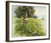 Daisy Meadow-Stephen Pearson-Framed Giclee Print