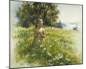 Daisy Meadow-Stephen Pearson-Mounted Giclee Print