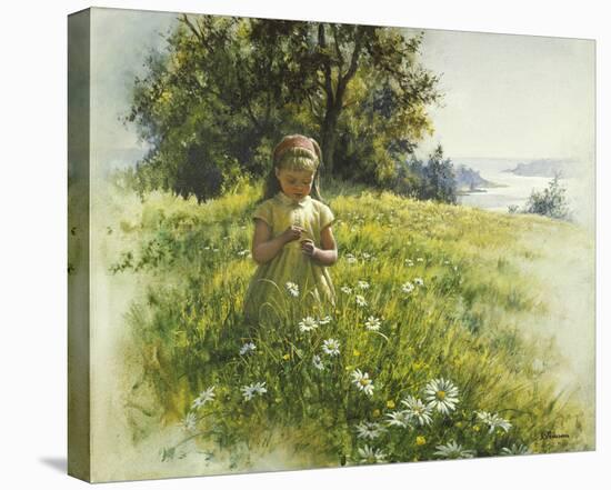 Daisy Meadow-Stephen Pearson-Stretched Canvas